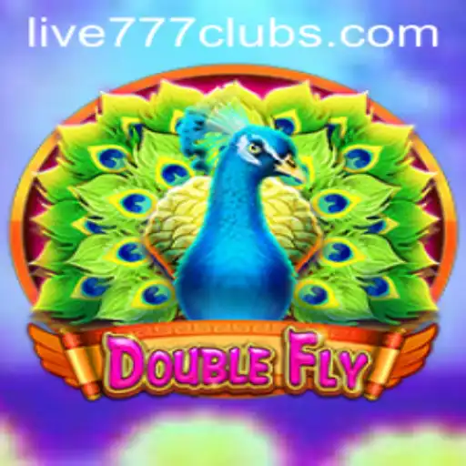 DoubleFly: The Thrilling Experience of Live 777